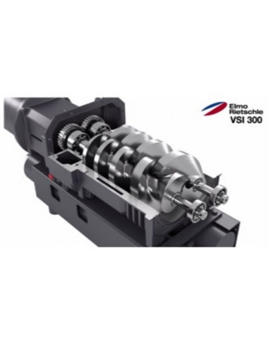 Bombas de Vacío de Tornillo VSI 100 /...