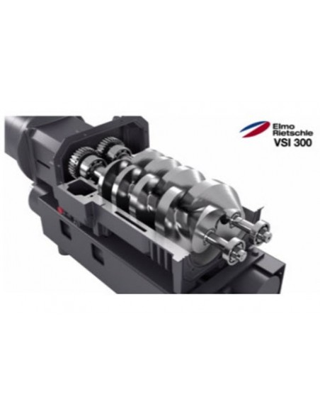 Bombas de Vacío de Tornillo VSI 100 / 300