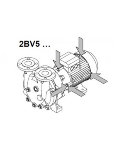 Bombas de Anillo Líquido BV2 / BV5