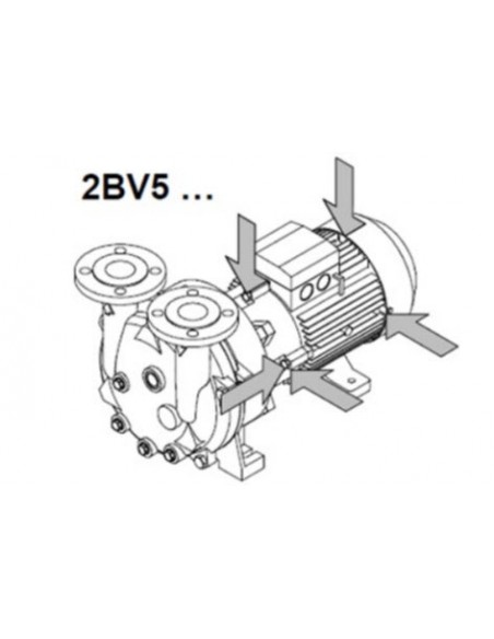 Bombas de Anillo Líquido BV2 / BV5