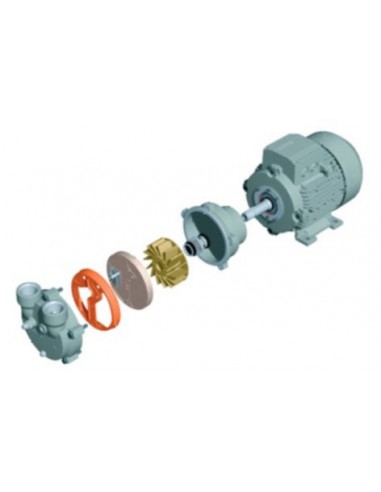 Bombas de Anillo Líquido BV2 / BV5