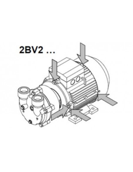 Bombas de Anillo Líquido BV2 / BV5