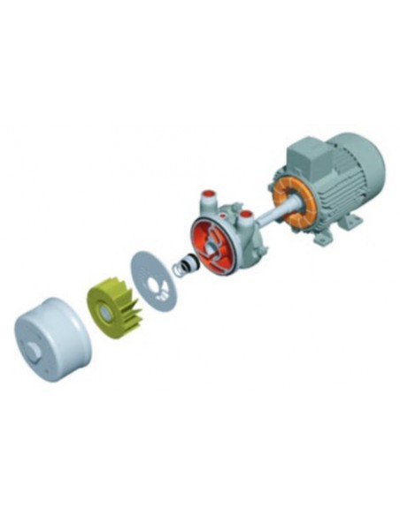 Bombas de Anillo Líquido Elmo Rietschle BV7