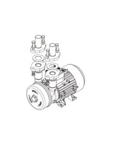 Bombas de Anillo Líquido Elmo...