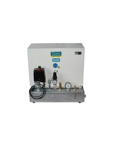 SAUER HAUG CYGNUS COMPRESOR LIBRE DE...