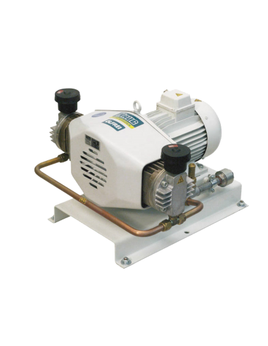 SAUER HAUG CYGNUS COMPRESOR LIBRE DE...