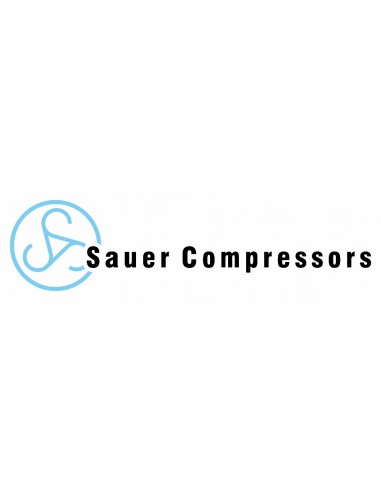 Centro de Servicio Sauer Compressors