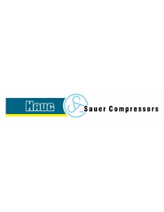 Repuestos Originales Sauer – Haug