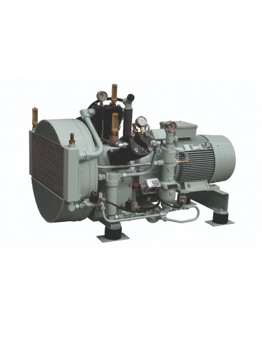 Sauer Compressors – Compresores Reciprocantes