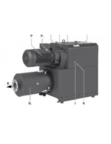 Bombas de Vacío de Garras Altamente Eficientes VLR 1000