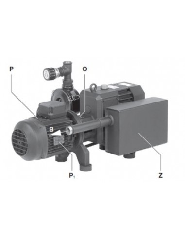 Bombas de Vacío de Garras Altamente...